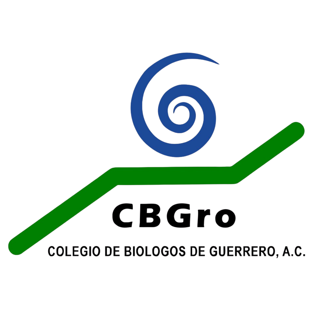 Inicio diseño sin título (14)
