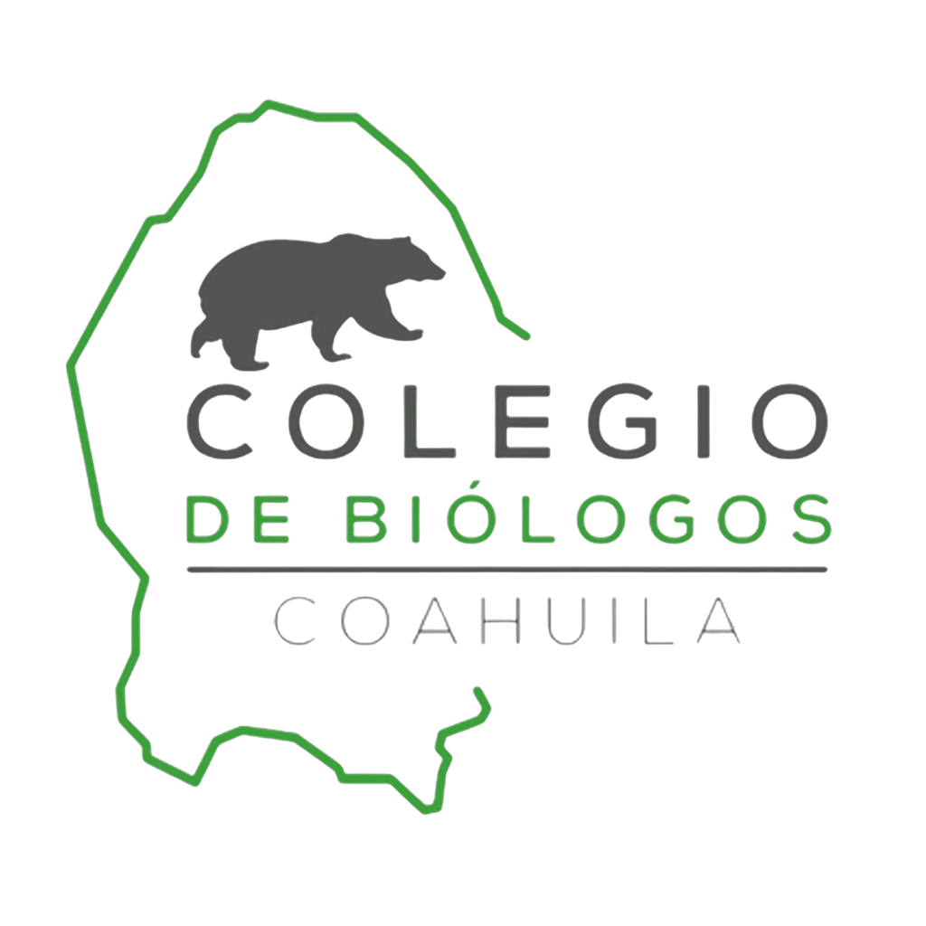 Inicio diseño sin título (15)