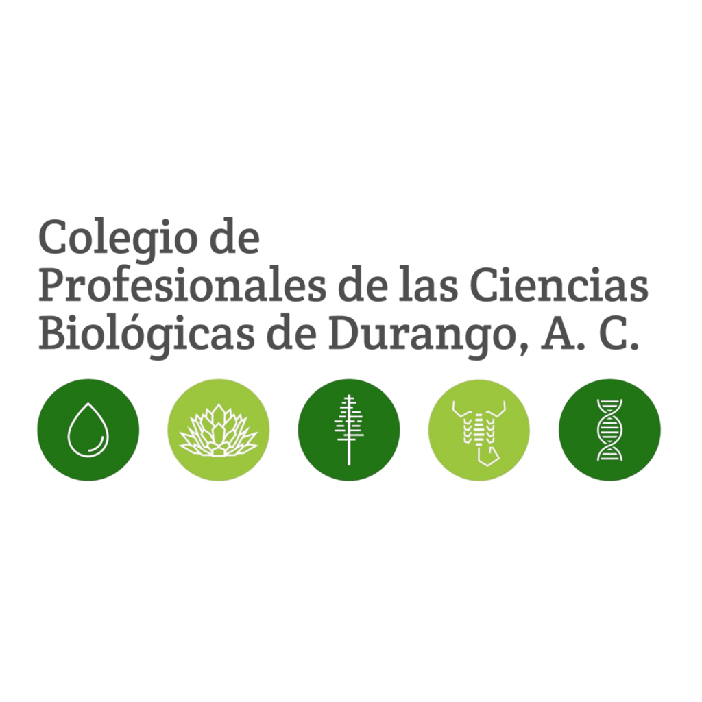 diseño sin título (16)