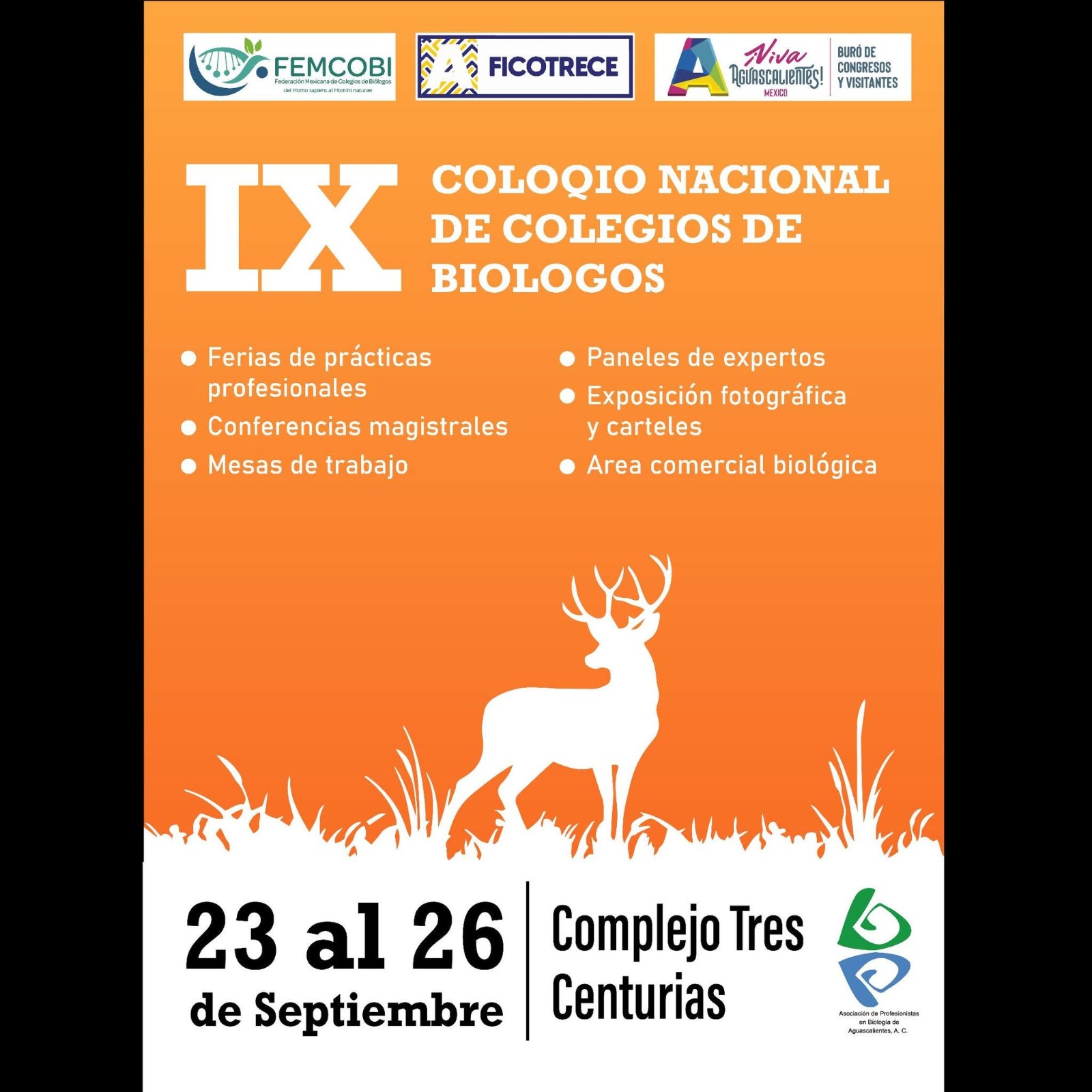 flyer coloquio 2026