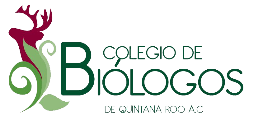Inicio logo cbqroo