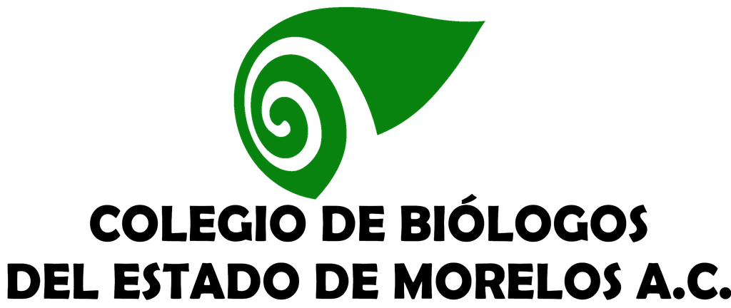 Inicio logo morelos