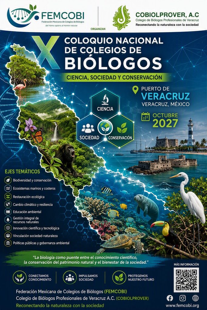 whatsapp image 2026 09 03 at 07.41.15